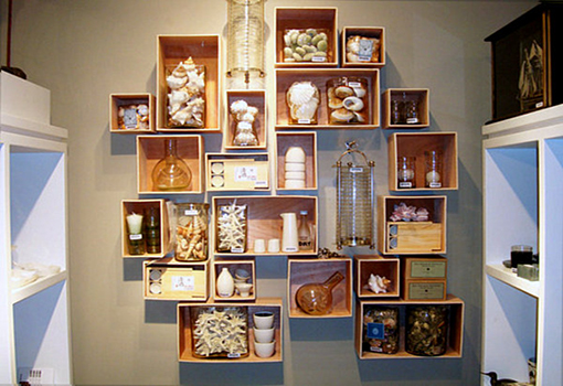 collection-display